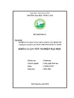 Nghiên khả năng nhân giống cây Bình Vôi (Stephania rotunda Lour) bằng phương pháp in vitro.