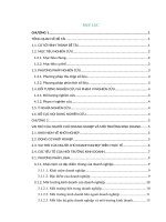 Tiểu luận Năng lực quản trị khởi nghiệp, môi trường khởi nghiệp và kết quả hoạt động của doanh nghiệp