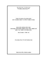 BCTT ĐỀ TÀI: BẢO TỒN TIẾNG DÂN TỘC CHO HỌC SINH PHỔ THÔNG DÂN TỘC THIỂU SỐ KHU VỰC MIỀN NÚI PHÍA BẮC