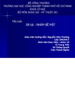 Tiểu luận nhám bề mặt 