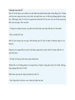 Truyện kể mầm non  chuyện của sâu út 