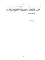 Tiểu luận Ảnh hưởng của các liều lượng lân phối hợp vi khuẩn hòa tan lân lên năng suất khoai lang trên đất phèn huyện Tân Phước tỉnh Tiền Giang