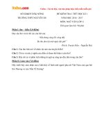 Đề kiểm tra 1 tiết học kì 1 môn Ngữ văn lớp 11 trường THPT Nguyễn Du, Đăk Nông năm học 2016 - 2017