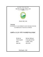 Tách dòng và giải trình tự Gene mã hóa Enzyme Nattokinase từ B. subtilis.