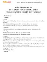 Giáo án Sinh học 10 bài 14: Enzim và vai trò của enzim trong quá trình chuyển hóa vật chất