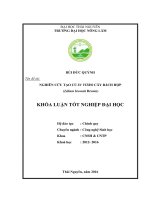 Nghiên cứu tạo củ in vitro cây bách hợp (Lilium brownii Brown)