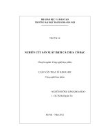 nghiên cứu sản xuất dịch cà chua cô đặc 