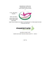 Tiểu luận Hoạch định chiến lược kinh doanh sản phẩm điện thoại di động cho Công ty cổ phần đầu tư công nghệ Phương Tùng đến năm 2020