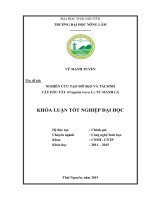 Nghiên cứu tạo mô sẹo và tái sinh cây dâu tây (Fragaria vesca L.) từ mảnh lá