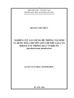 Nghiên cứu xây dựng hệ thống tái sinh và bước đầu chuyển Gen chỉ thị vào cây khoai tây thông qua vi khuẩn Agrobacterium tu mefaciens
