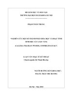 nghiên cứu một số thành phần hóa học và hoạt tính sinh học cây lược vàng (callisia fragrans woods, commelinaceae) 