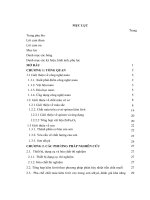 Nghiên cứu tổng hợp chất màu cỡ nano trên cơ sở kẽm ferit và ứng dụng 