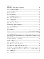 Tiểu luận Hoạch định chiến lược kinh doanh cho Doanh Nghiệp Tư Nhân Hoàng Hôm 2