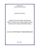 Nghiên cứu phát triển thương mại điện tử trong các doanh nghiệp dịch vụ vùng kinh tế trọng điểm miền Trung