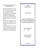 Nghiên cứu phát triển thương mại điện tử trong các doanh nghiệp dịch vụ vùng kinh tế trọng điểm miền Trung (TT)