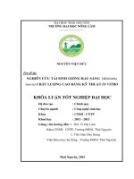 Nghiên cứu kỹ thuật tái sinh giống rau Sắng (Melientha suavis) chất lượng cao bằng kỹ thuật in vitro