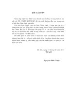 Một lớp phương trình vi tích phân với điều kiện ban đầu không cục bộ