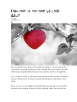 Đâu mới là nơi tình yêu bắt đầu 