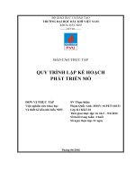 BÁO CÁO THỰC TẬP QUY TRÌNH LẬP KẾ HOẠCH PHÁT TRIỂN MỎ