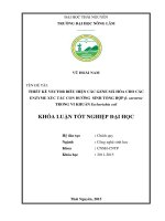 Thiết kế vector biểu hiện các gene mã hóa cho các Enzyme xúc tác quá trình sinh tổng hợp βcarotene trong vi khuẩn Escherichia coli