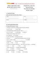 Đề kiểm tra 1 tiết môn tiếng Anh lớp 6 Thí điểm trường THCS Nguyễn Văn Tư, Bến Tre năm học 2015 - 2016