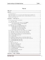 Nghiên cứu tổng hợp và đặc trưng tính chất của vật liệu cacbon mao quản trung bình sử dụng để xử lý các chất hữu cơ độc hại  