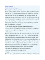 Truyện kể mầm non  bài học trong rừng 