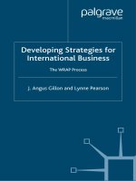 Developing strategies for international business  the wrap process