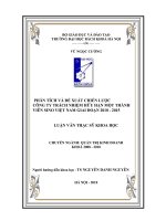 phân tích và đề xuất chiến lược công ty trách nhiệm hữu hạn một thành viên sino việt nam giai đoạn 2010   2015 