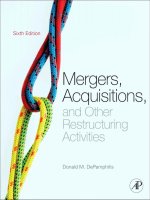 Mergers acquisitions and other restructuring activities 6e