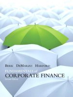 FUNDAMENTALS OF CORPORATE FINANCE 2th ed berk demarzo