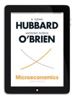 Microeconomics 4th ed Hubbard Obrien