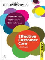 Effective customer care pat wellington