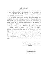 nghiệm tuần hoàn và ổn định tiệm cận của một lớp phương trình vi phân nửa tuyến tính với trễ bội