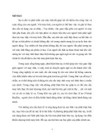 Nhận dạng cử chỉ bàn tay bằng phương pháp internalhaar like.