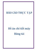 Khóa luận chi tiết máy băng tải 