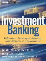 Investment banking valuation leveraged buyouts and mergers acquisitions