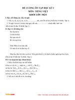 Đề cương ôn tập học kì 1 môn Toán, Tiếng Việt lớp 1