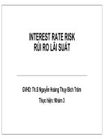 TIỂU LUẬN môn học QUẢN TRỊ rủi RO tài CHÍNH INTEREST RATE RISK rủi RO lãi SUẤT 