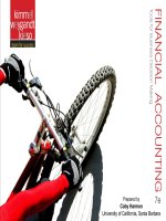 Financial Accounting Tools for Business Decision Making chapter 07 internal control and cash