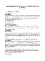 BT lao động hợp đồng làm việc, tiền lương, thời gian làm việc