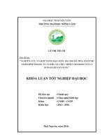 Nghiên cứu và khuyếch đại gene Tk 1284 mã hóa enzyme peptidase của vi khuẩn chịu nhiệt Thermonococcus kodakarensis KOD1