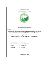Nghiên cứu ứng dụng kỹ thuật multiplex PCR phát hiện nhanh và đồng thời Tụ cầu vàng (Staphylococcus aureus) và Trực trùng mủ xanh (Psedomonas aeruginosa)