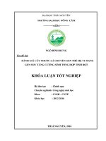 Đánh giá cây thuốc lá chuyển gen thế hệ T1 mang gen SSIV tăng cường sinh tổng hợp tinh bột.