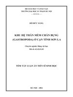 Khu hệ thân mềm chân bụng (gastropoda) ở cạn tỉnh sơn la (TT) 