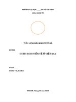 Tiểu luận kinh tế vĩ mô   chính sách tiền tệ ở VN