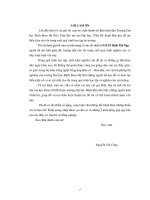 Chuyển hóa dầu thực vật có chỉ số axit cao thành nhiên liệu sinh học trên xúc tác dị thể lưỡng chức năng CS, MCS 