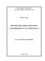Luận án khu hệ thân mềm chân bụng (gastropoda) ở cạn tỉnh sơn la 