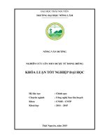 Nghiên cứu lên men rượu từ Dong riềng.