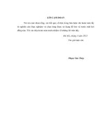 Nghiên cứu xử lý bã thải gips của nhà máy DAP 